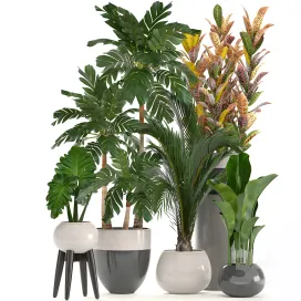 Collection of plants